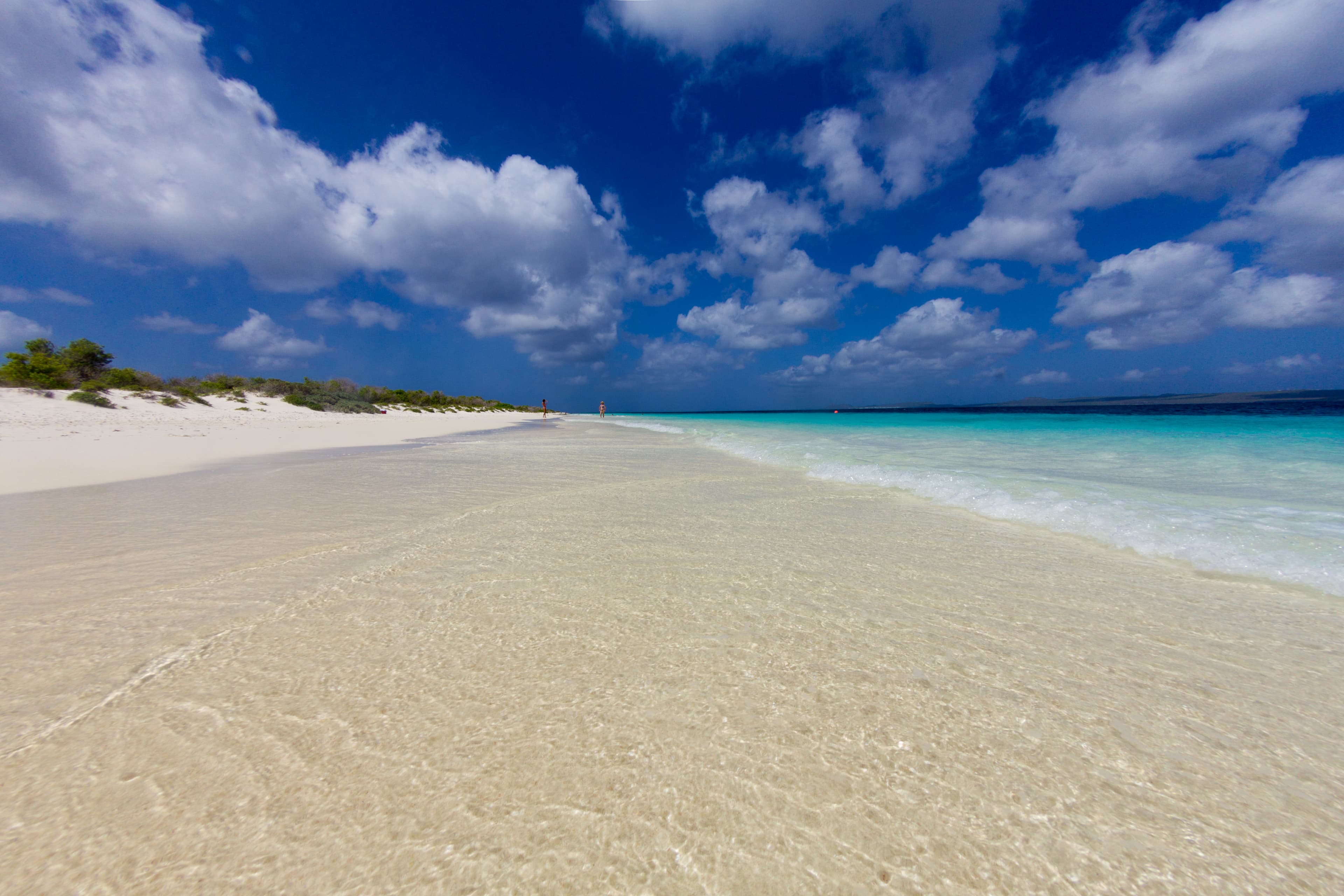 Klein Bonaire Beach shoreline